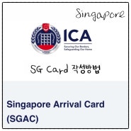 SG 카드 싱가포르여행 필수 준비물 입국신고서 작성방법(가족/단체제출)+면세한도+세관신고주의사항