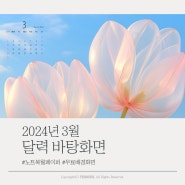 2024년 3월 달력 바탕화면 봄 꽃 무료 배경화면이미지 모음