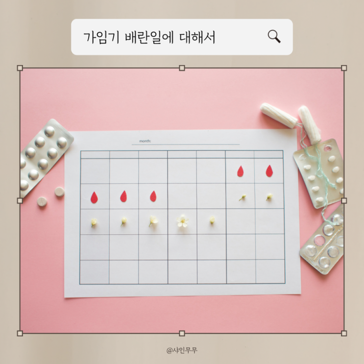 가임기 배란일 임신확률 뜻 증상 네이버배란일계산기 : 네이버 블로그
