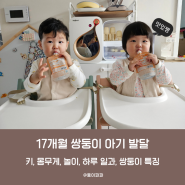 17개월 아기 발달 언어 키 몸무게 놀이 하루 일과 쌍둥이 특징