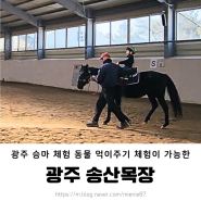 광주 송산목장 어린이 승마 체험 유아 동물 먹이 주기 체험