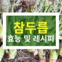 참두릅만 있으면 무턱대고 맛있는 밑반찬