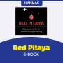 Red Pitaya E-BOOK
