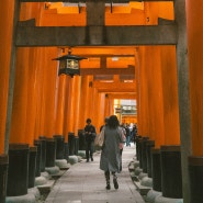일본 오사카 3월 날씨 교토 여행 옷차림