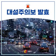 서울 중구 <대설주의보(24.2.21)> 안내