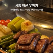 [시흥 배곧] 소고기맛집 우마카_직접구워주는 소고기집