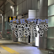 김해공항 국제선 아침 비행기 출국 수속 후기 (바이오 등록,인터넷 면세점 인도장 위치,택시 캐리어)