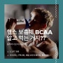 공덕동헬스. 헬스 보충제 BCAA 알고 먹는 거지??