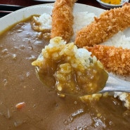 오키나와 라구나가든호텔 맛집 Umichica cafeteria : 현지인 포스 가득한 카레 맛집