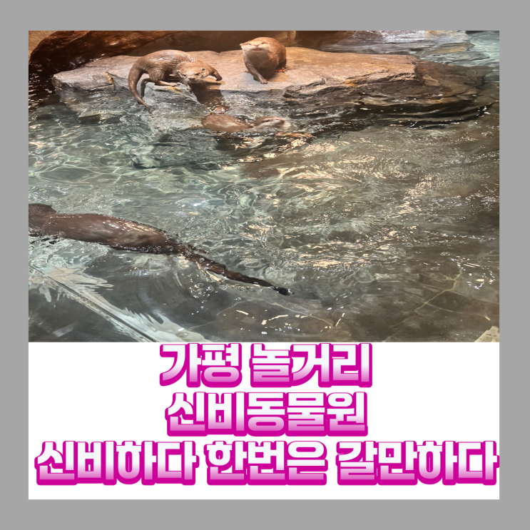 가평 놀거리 신비동물원 가까이서 만나는 동물친구