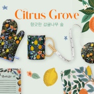 라이플페이퍼 Citrus Grove 컬렉션