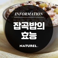 [나뚜렐 생활 정보] 잡곡밥, 먹으면 좋은 이유