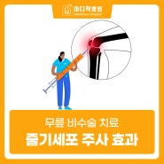 김포 관절염 치료 무릎줄기세포주사 효과