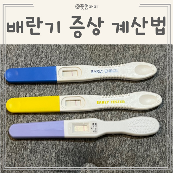 배란기 뜻 증상 기초체온법 활용팁 배란일계산법 알아야 임신확률 업 : 네이버 블로그