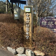 경기도 등산 수리산 수리산 산림욕장-슬기봉-수암봉