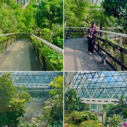 도심 속 힐링을 찾아… 2월의 서울식물원