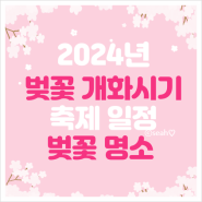 2024년 벚꽃 개화시기 축제일정 벚꽃명소 정리해봤어요