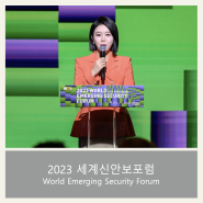 [외교부행사] 영어사회자 | 세계신안보포럼 | World Emerging Security Forum | 이승희아나운서 | 외교부장관