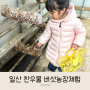 서울근교 체험농장 아기랑 가볼만한곳 : 일산 찬우물 버섯농장