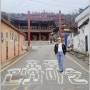 제천교동민화마을 제천향교 추억여행 시장시내근교 여행지/ 민화벽화