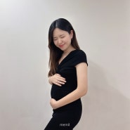 [👶🏻-133] 임신 17주~20주 증상 / 주수기록사진 / 입체초음파 / 임산부 안전벨트