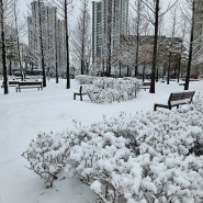 눈이 많이 왔습니다. 조심히 걸으세요.#스몸비