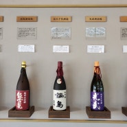 술을 좋아한다면 놓칠 수 없는 술 축제! '가고시마 주조 투어 2024'