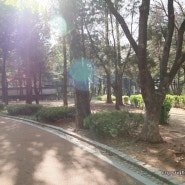 서울 압구정 주말 가볼만한곳 도산공원