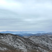 강원도 태백산 천제단 등산코스 초보 겨울산행 (알레버스)