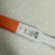 [20240221] 임신을 확인했다