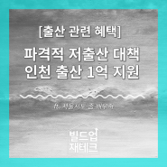 파격적 저출산 대책 인천 출산 1억 지원 ft. 서울시도 좀 배우자