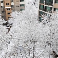 눈 내린 서울의 날씨