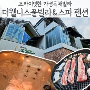 프라이빗하게 힐링할 수 있는 가평독채빌라 더웰니스 풀빌라 스파 펜션