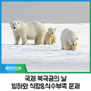 2/27 국제 북극곰의 날 & 빙하와 식량 식수 부족 문제! 제로웨이스트 실천으로 지구를 지켜주세요! 에디션 인스타그램 이벤트