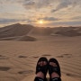 남미여행 2일차 _페루 이카사막 샌드보딩 투어