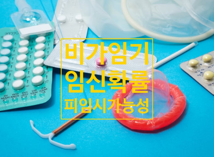 비가임기 임신확률 가임기 생리기간 피임 쿠퍼액 노콘 질외사정 사후피임약 임신가능성 : 네이버 블로그