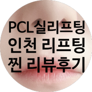 [·인천 실리프팅·] 구월동 노티드(Pcl)실리프팅 맛집 후기리뷰!