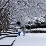 포토이야기/인천대공원/설경