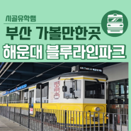 부산 해변열차 해운대 블루라인파크 청사포 미포 예약 할인