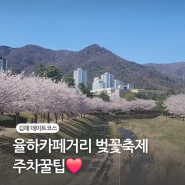 김해 율하카페거리 벚꽃축제 주차꿀팁