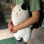 다이소 고양이 인형