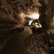240209 스페인 란사로테(Lanzarote) 라 쿠에바 데 로스 베르데스(La Cueva de los Verdes)