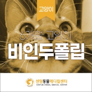 고양이 비인두폴립 (부산 고양이 전문 동물병원 - 센텀동물메디컬센터 수영점)