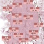 2024년 봄꽃 벚꽃 개화시기/ 경남 울산 부산 벚꽃명소 BEST 9
