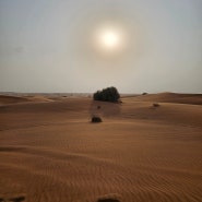 [두바이여행] 제일 기대했던 두바이 사막투어 후기