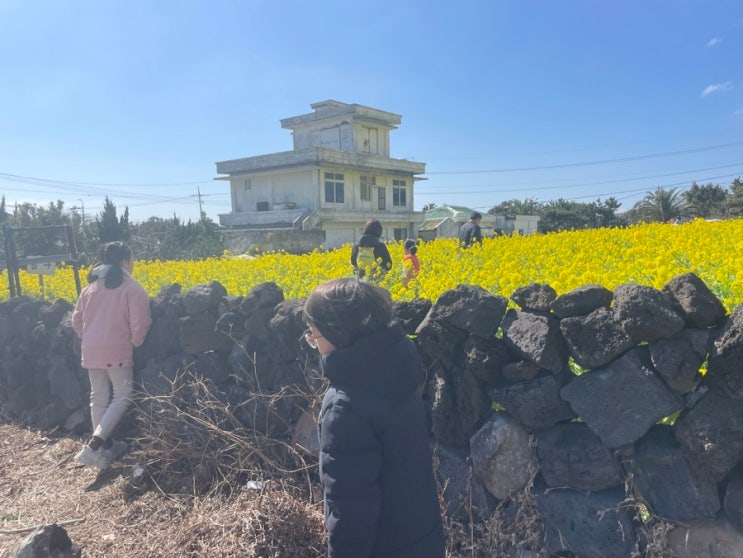 제주한달살이34.용머리해안/산방산랜드/런닝맨제주/주상절리...