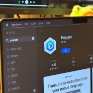 [macOS] 맥 사파리 번역 확장 프로그램 Polyglot, 구글 번역과 비교해보니