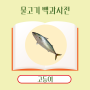 4.물고기 백과사전 [고등어]