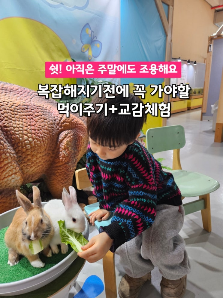 [김천 다솜생태관] 주말에도 조용한, 아이와 가기 좋은 동물체험관