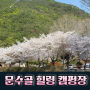 김포 벚꽃 캠핑의 성지, 문수골 힐링 캠핑장